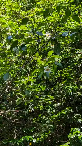 東林院(京都府)