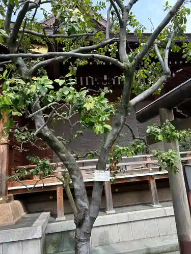 大鳥神社(東京都)