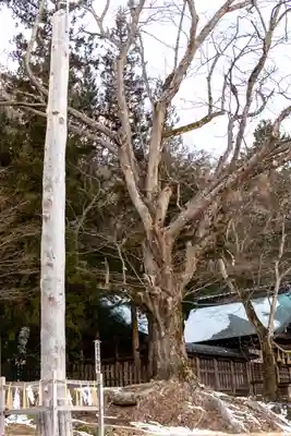 諏訪大社上社前宮(長野県)