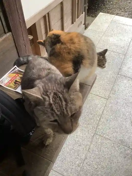 玉野御嶽神社の動物