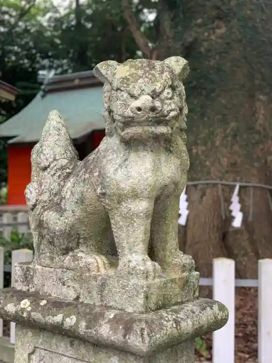 春日神社の狛犬