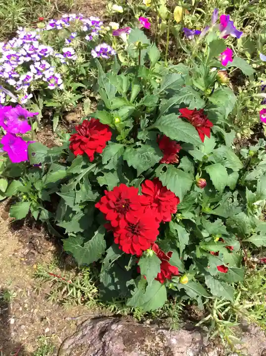 大鏑神社の自然