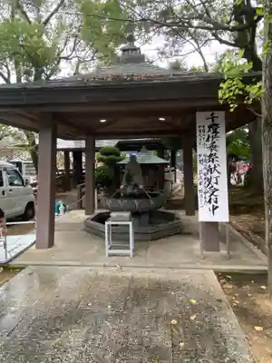 遍照院の手水舎