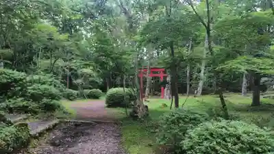 胎内神社(静岡県)