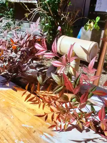 猿田彦神社(東京都)