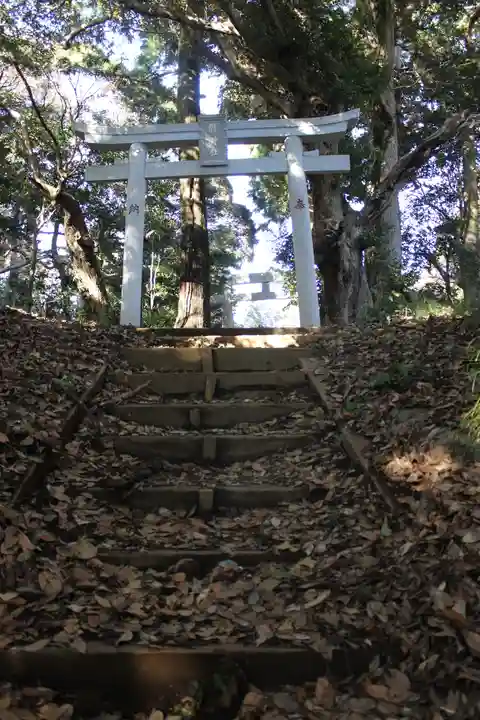 縣神社(千葉県)