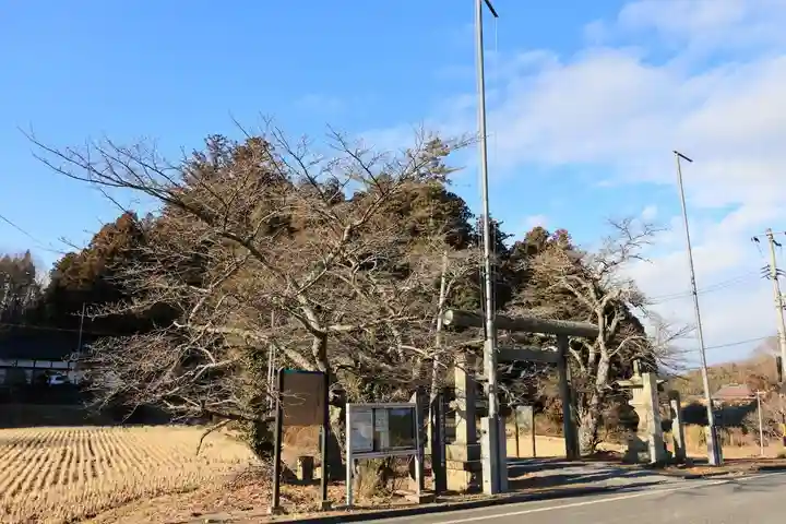 鹿島大神宮の鳥居