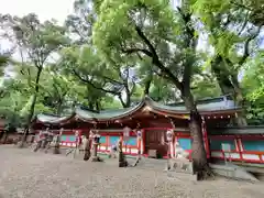 杭全神社(大阪府)