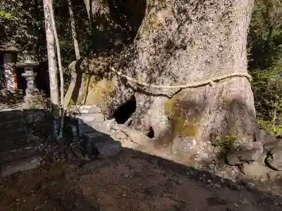 引作神社(三重県)