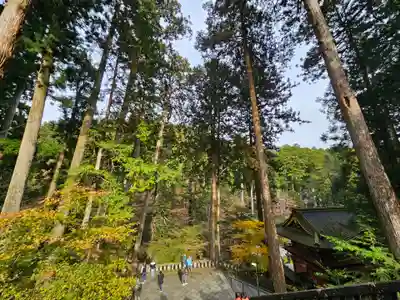 日光山輪王寺 大猷院(栃木県)