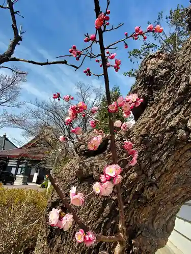 如宝寺(福島県)