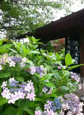 題経寺(柴又帝釈天)(東京都)
