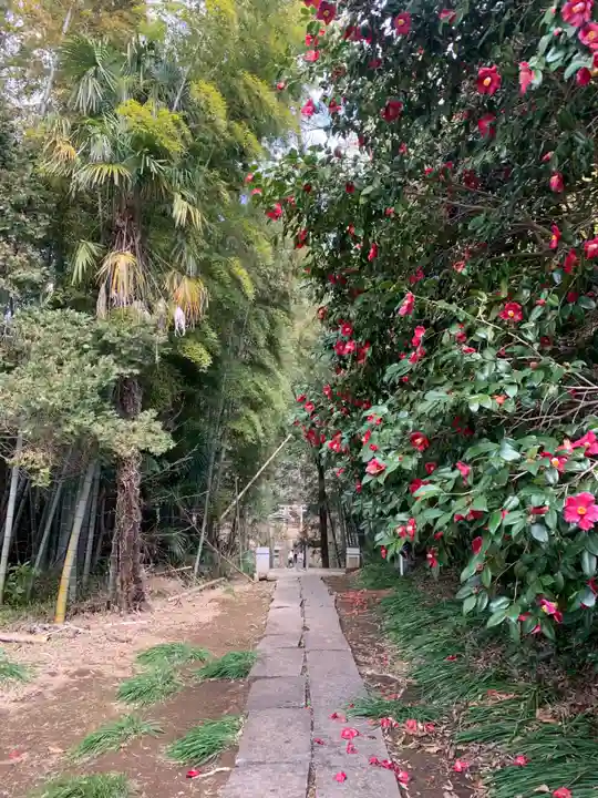 葦不合神社(千葉県)