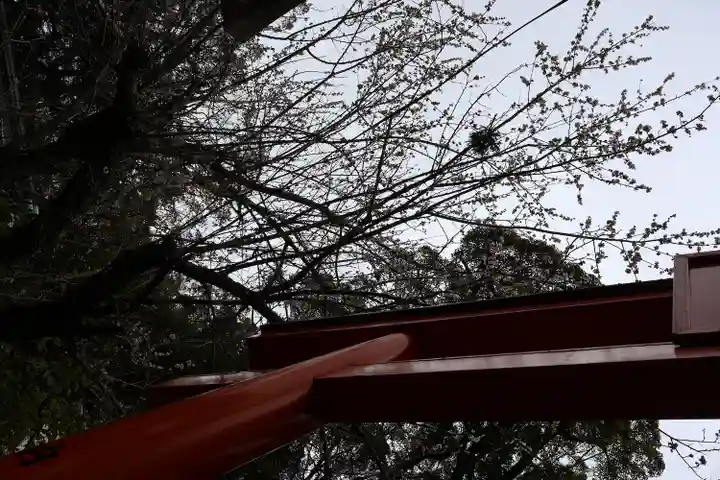 玉園稲荷神社(長崎県)