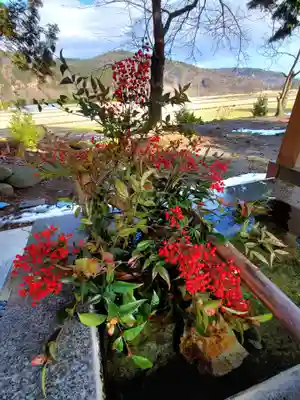 高司神社〜むすびの神の鎮まる社〜(福島県)