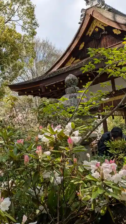 平野神社(京都府)