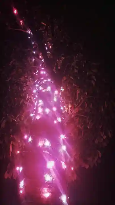 尾張大國霊神社(国府宮)のお祭り