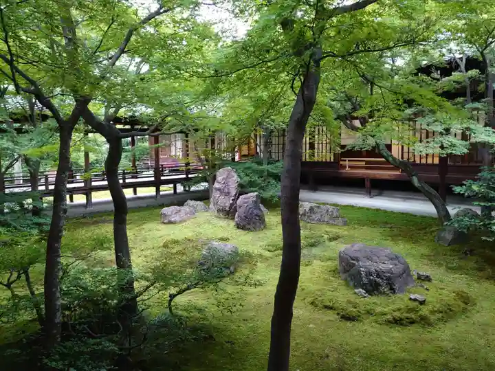 建仁寺(建仁禅寺)の庭園