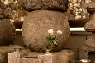 諏訪大社上社前宮(長野県)