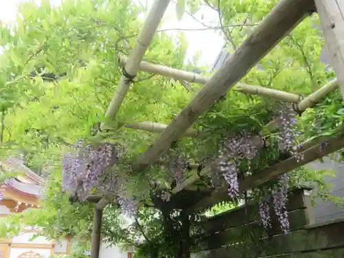 別願寺の庭園