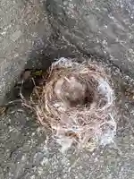 岡部春日神社~👹鬼門よけの🌺花咲く🌺やしろ~(福島県)