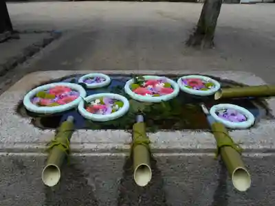 飯野八幡宮の手水舎