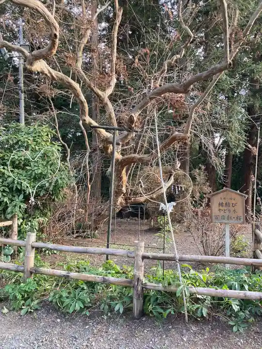 亀岡八幡宮(栃木県)