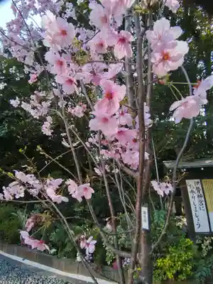 東京大神宮(東京都)