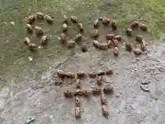 比々多神社(神奈川県)