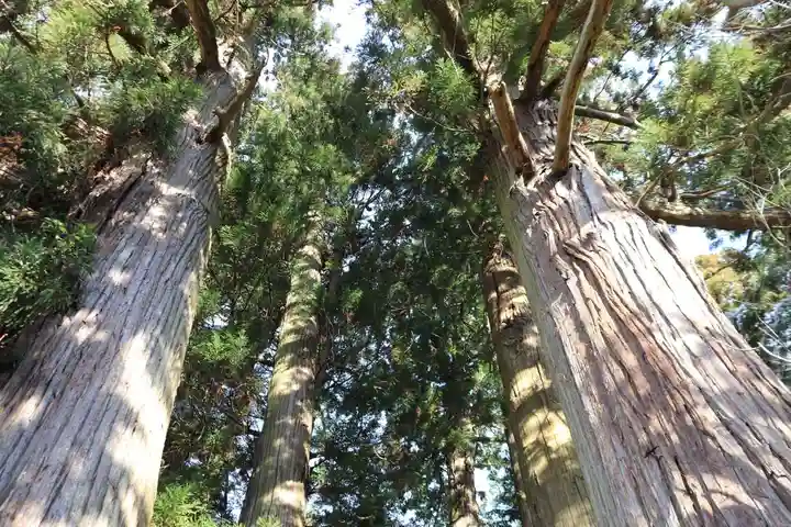 菅船神社の自然