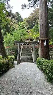 高鴨神社(奈良県)