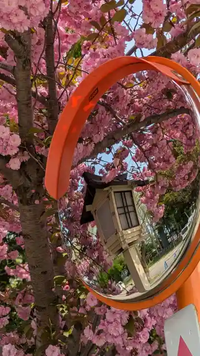 新琴似神社(北海道)