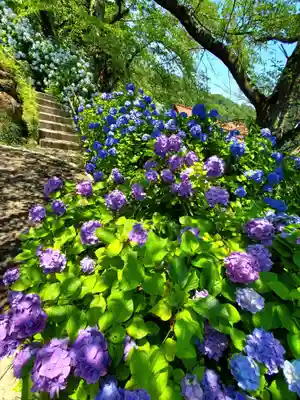 白和瀬神社(福島県)