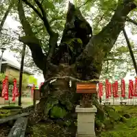 秩父今宮神社(埼玉県)