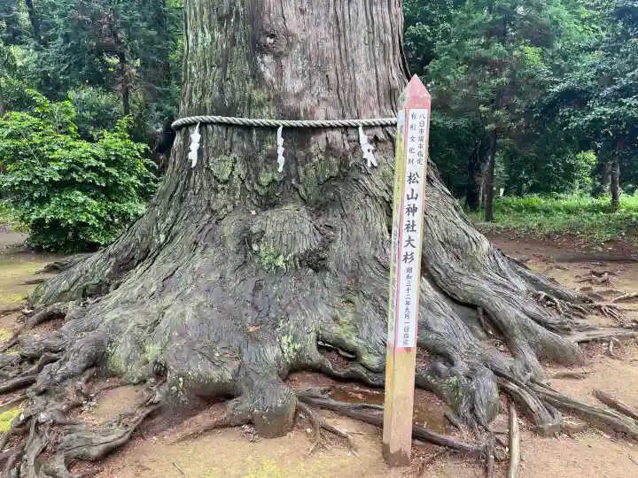 松山神社(千葉県)