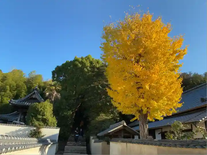 極楽寺(香川県)