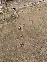 善行寺(千葉県)