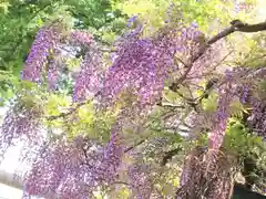 國領神社の自然