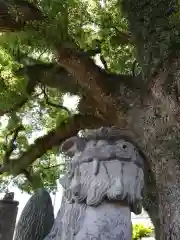 上代阿蘇神社(熊本県)