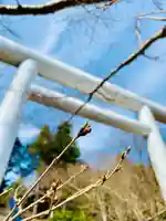 土津神社|こどもと出世の神さまの鳥居