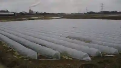 香取神社の周辺