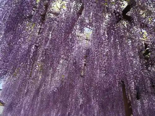 笠間稲荷神社の自然