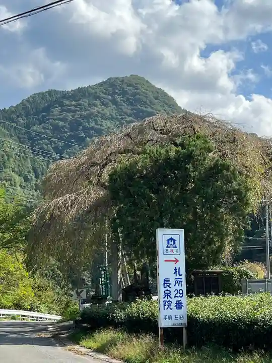 長泉院(埼玉県)