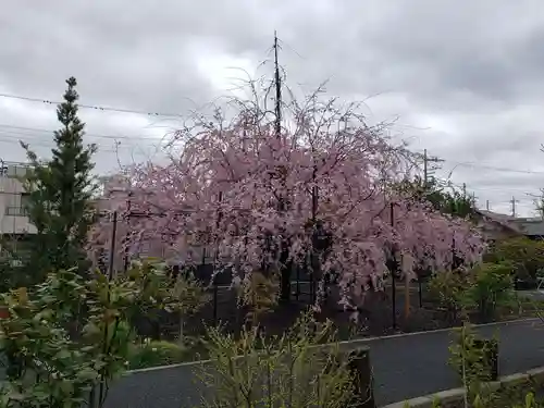 福蔵院(東京都)