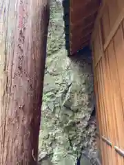 河上神社(兵庫県)