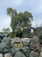 真清田神社の{uncategorized: "未分類", other: "その他", undefined: "問題あり", building: "その他建物", grave: "お墓", sacred_gate: "鳥居", guardian: "狛犬", statue: "像", buddha: "仏像", history: "歴史", nature: "自然", garden: "庭園", animal: "動物", pagoda: "塔", temizu: "手水舎", mountain_gate: "山門・神門", sanctuary: "本殿・本堂", subordinate: "末社・摂社", art: "芸術", scenery: "景色", jizo: "地蔵", ema: "絵馬", goshuin: "御朱印", omikuji: "おみくじ", items: "授与品その他", amulet: "お守り", goshuincho: "御朱印帳", eats: "食事", festival: "お祭り", votive_dance: "神楽", shichigosan: "七五三参", wedding: "結婚式", experience: "体験その他", initially: "初詣", around: "周辺", anti_infection: "感染症対策"}