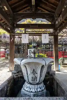 葛井寺(大阪府)