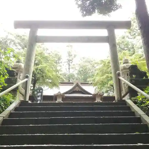 素鵞熊野神社の鳥居