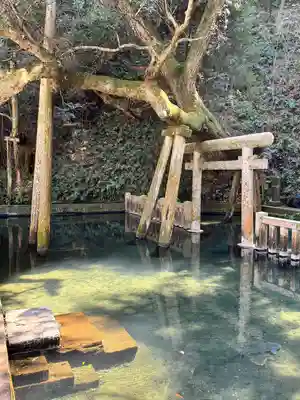 奥宮(鹿島神宮摂社)(茨城県)