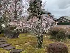 法幢寺(岐阜県)